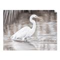 Picture of Wading Egret _GroupedProduct_Rectangle_Landscape_Unframed_Print_Only_