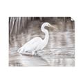 Picture of Wading Egret _GroupedProduct_Rectangle_Landscape_Unframed_Print_Only_