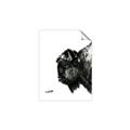 Picture of Sketched Bison _GroupedProduct_Rectangle_Portrait_Unframed_Print_Only_