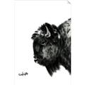 Picture of Sketched Bison _GroupedProduct_Rectangle_Portrait_Unframed_Print_Only_