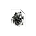 Picture of Sketched Bear _GroupedProduct_Rectangle_Portrait_Unframed_Print_Only_