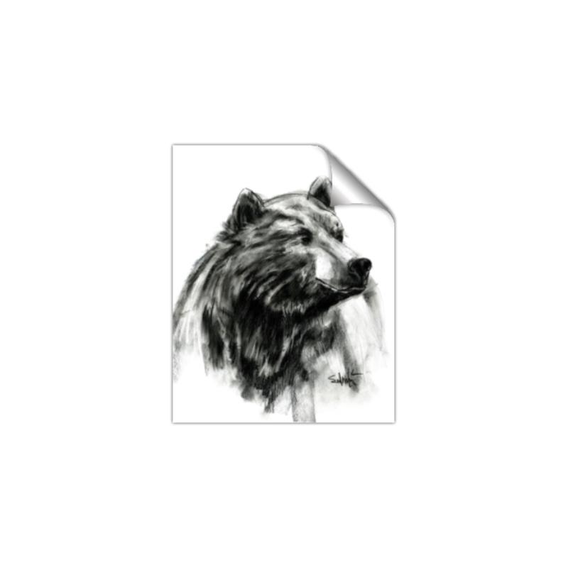 Picture of Sketched Bear _GroupedProduct_Rectangle_Portrait_Unframed_Print_Only_