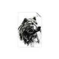 Picture of Sketched Bear _GroupedProduct_Rectangle_Portrait_Unframed_Print_Only_