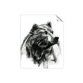 Picture of Sketched Bear _GroupedProduct_Rectangle_Portrait_Unframed_Print_Only_