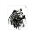 Picture of Sketched Bear _GroupedProduct_Rectangle_Portrait_Unframed_Print_Only_