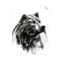 Picture of Sketched Bear _GroupedProduct_Rectangle_Portrait_Unframed_Print_Only_