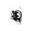 Picture of Sketched Ram _GroupedProduct_Rectangle_Portrait_Unframed_Print_Only_