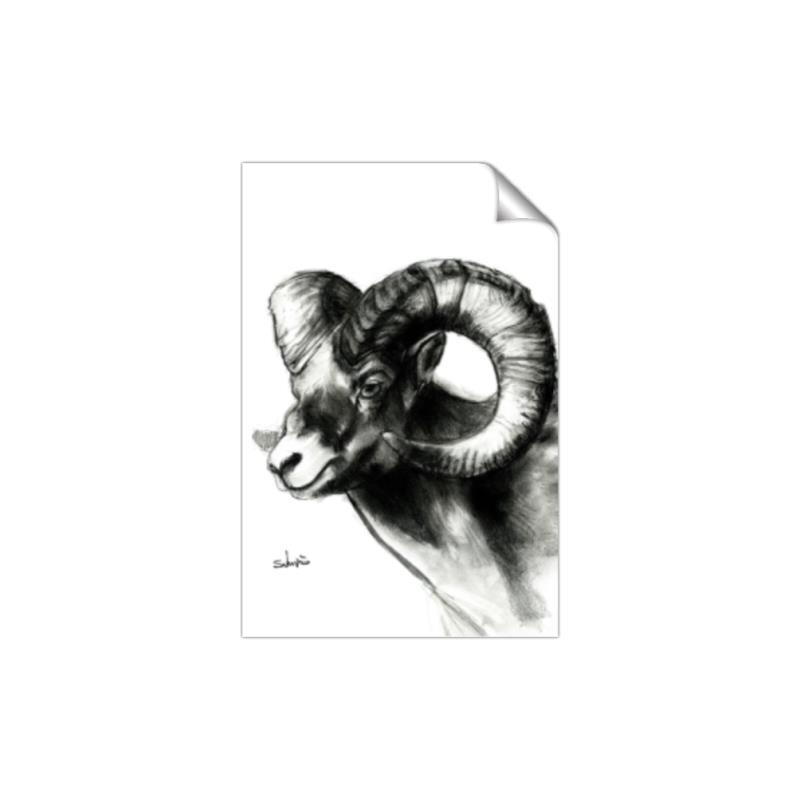 Picture of Sketched Ram _GroupedProduct_Rectangle_Portrait_Unframed_Print_Only_