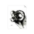 Picture of Sketched Ram _GroupedProduct_Rectangle_Portrait_Unframed_Print_Only_