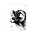 Picture of Sketched Ram _GroupedProduct_Rectangle_Portrait_Unframed_Print_Only_