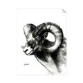 Picture of Sketched Ram _GroupedProduct_Rectangle_Portrait_Unframed_Print_Only_