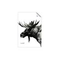 Picture of Sketched Moose _GroupedProduct_Rectangle_Portrait_Unframed_Print_Only_