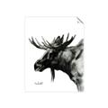 Picture of Sketched Moose _GroupedProduct_Rectangle_Portrait_Unframed_Print_Only_