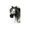 Picture of Sketched Horse _GroupedProduct_Rectangle_Portrait_Unframed_Print_Only_