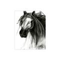 Picture of Sketched Horse _GroupedProduct_Rectangle_Portrait_Unframed_Print_Only_
