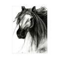 Picture of Sketched Horse _GroupedProduct_Rectangle_Portrait_Unframed_Print_Only_