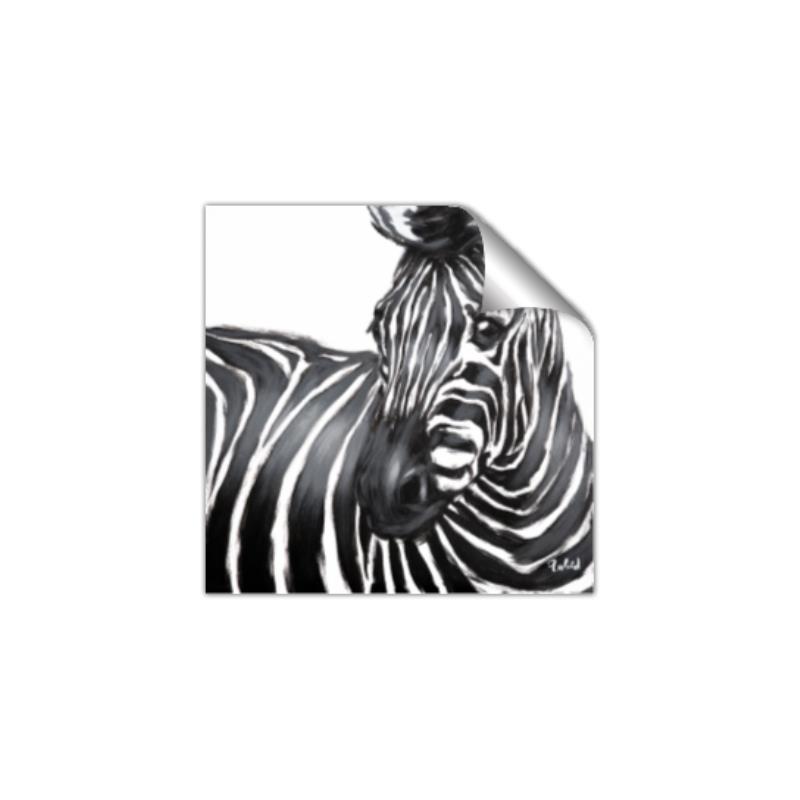 Picture of Zebra Watching _GroupedProduct_Square_Unframed_Print_Only_