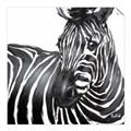 Picture of Zebra Watching _GroupedProduct_Square_Unframed_Print_Only_