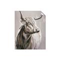 Picture of Harry the Highland _GroupedProduct_Rectangle_Portrait_Unframed_Print_Only_