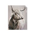Picture of Harry the Highland _GroupedProduct_Rectangle_Portrait_Unframed_Print_Only_
