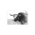 Picture of Big Cattle  _GroupedProduct_Rectangle_Landscape_Unframed_Print_Only_