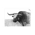 Picture of Big Cattle  _GroupedProduct_Rectangle_Landscape_Unframed_Print_Only_