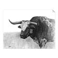 Picture of Big Cattle  _GroupedProduct_Rectangle_Landscape_Unframed_Print_Only_