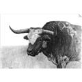 Picture of Big Cattle  _GroupedProduct_Rectangle_Landscape_Unframed_Print_Only_