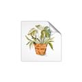 Picture of Palm Plant _GroupedProduct_Square_Unframed_Print_Only_