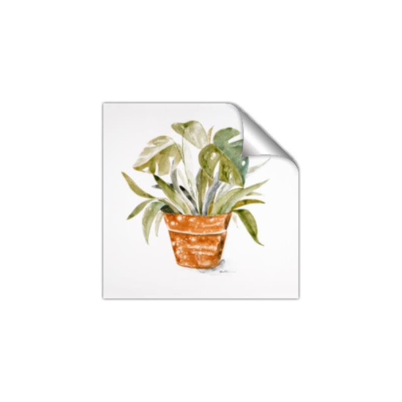 Picture of Palm Plant _GroupedProduct_Square_Unframed_Print_Only_