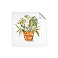 Picture of Palm Plant _GroupedProduct_Square_Unframed_Print_Only_