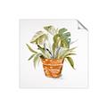 Picture of Palm Plant _GroupedProduct_Square_Unframed_Print_Only_