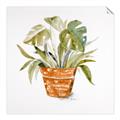 Picture of Palm Plant _GroupedProduct_Square_Unframed_Print_Only_