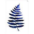 Picture of Indigo Fern  _GroupedProduct_Rectangle_Portrait_Unframed_Print_Only_