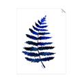 Picture of Indigo Fern  _GroupedProduct_Rectangle_Portrait_Unframed_Print_Only_
