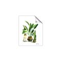 Picture of House Plants I  _GroupedProduct_Rectangle_Portrait_Unframed_Print_Only_