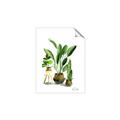 Picture of House Plants I  _GroupedProduct_Rectangle_Portrait_Unframed_Print_Only_