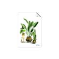 Picture of House Plants I  _GroupedProduct_Rectangle_Portrait_Unframed_Print_Only_