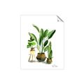 Picture of House Plants I  _GroupedProduct_Rectangle_Portrait_Unframed_Print_Only_