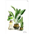 Picture of House Plants I  _GroupedProduct_Rectangle_Portrait_Unframed_Print_Only_