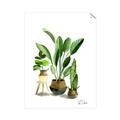 Picture of House Plants I  _GroupedProduct_Rectangle_Portrait_Unframed_Print_Only_