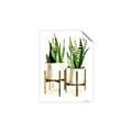 Picture of House Plants II  _GroupedProduct_Rectangle_Portrait_Unframed_Print_Only_