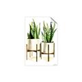 Picture of House Plants II  _GroupedProduct_Rectangle_Portrait_Unframed_Print_Only_