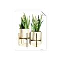 Picture of House Plants II  _GroupedProduct_Rectangle_Portrait_Unframed_Print_Only_