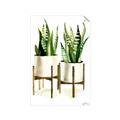 Picture of House Plants II  _GroupedProduct_Rectangle_Portrait_Unframed_Print_Only_
