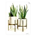 Picture of House Plants II  _GroupedProduct_Rectangle_Portrait_Unframed_Print_Only_