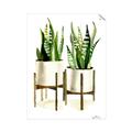 Picture of House Plants II  _GroupedProduct_Rectangle_Portrait_Unframed_Print_Only_