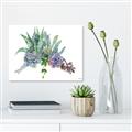 Picture of Succulent Group _GroupedProduct_Rectangle_Landscape_Canvas_
