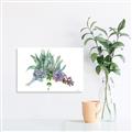 Picture of Succulent Group _GroupedProduct_Rectangle_Landscape_Canvas_