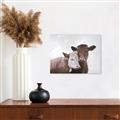 Picture of Cow buddies _GroupedProduct_Rectangle_Landscape_Canvas_